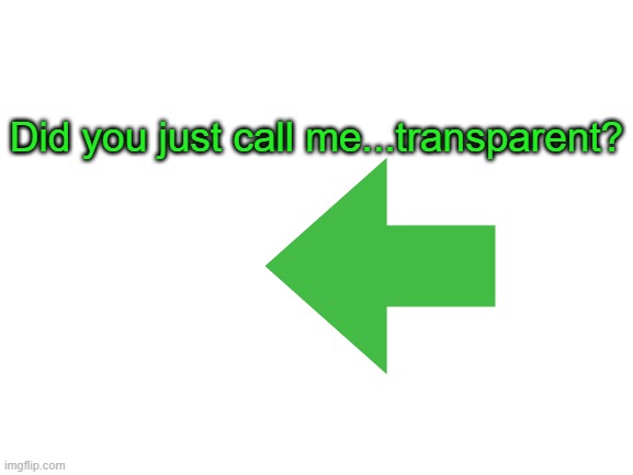 Blank White Template | Did you just call me...transparent? | image tagged in blank white template | made w/ Imgflip meme maker