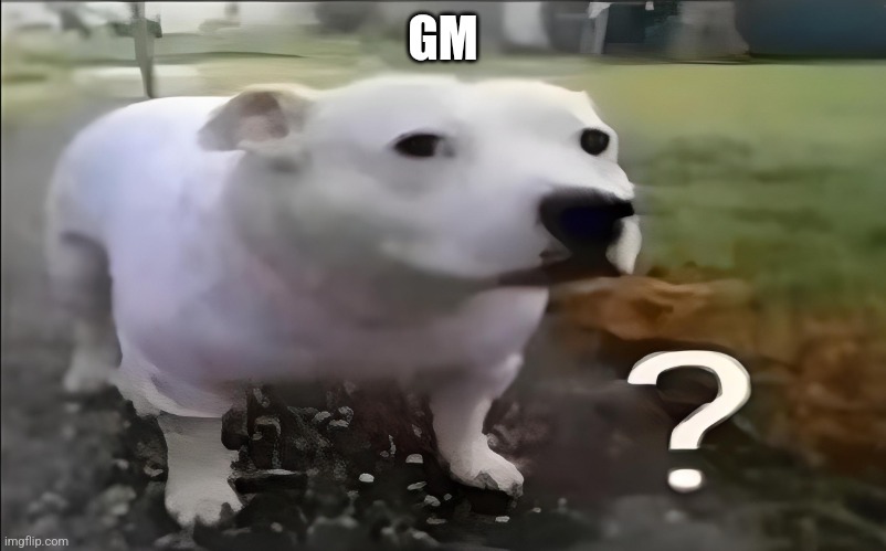 The queen's still dead | GM | image tagged in huh dog | made w/ Imgflip meme maker