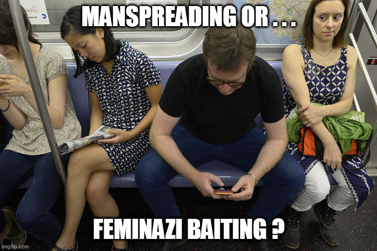 Finally guys have a sharp stick to poke a few mad cows! | MANSPREADING OR . . . FEMINAZI BAITING ? | image tagged in feminazis,misandrists | made w/ Imgflip meme maker