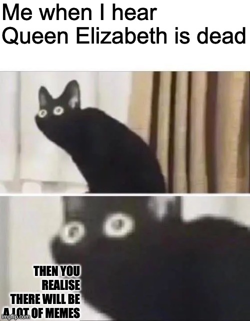 Oh No Black Cat |  Me when I hear Queen Elizabeth is dead; THEN YOU REALISE THERE WILL BE A LOT OF MEMES | image tagged in oh no black cat | made w/ Imgflip meme maker