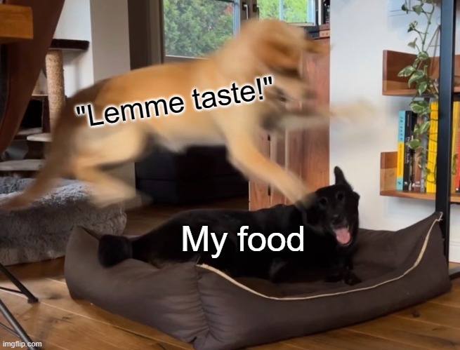 Having a girlfriend is like... | "Lemme taste!"; My food | image tagged in memes,funny,relateable | made w/ Imgflip meme maker