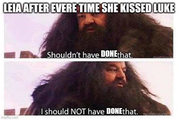 True story |  LEIA AFTER EVERE TIME SHE KISSED LUKE; DONE; DONE | image tagged in hagrid shouldn't have said that,princess leia,leia,luke skywalker,luke,skywalker | made w/ Imgflip meme maker