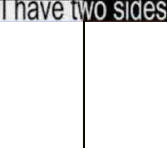 i have two sides blank Blank Meme Template