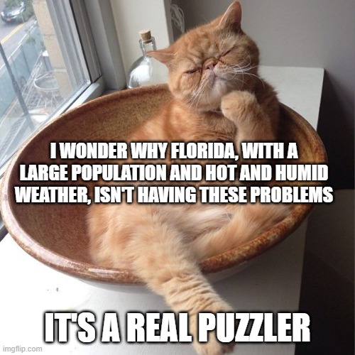 Wondering cat | I WONDER WHY FLORIDA, WITH A LARGE POPULATION AND HOT AND HUMID WEATHER, ISN'T HAVING THESE PROBLEMS IT'S A REAL PUZZLER | image tagged in wondering cat | made w/ Imgflip meme maker