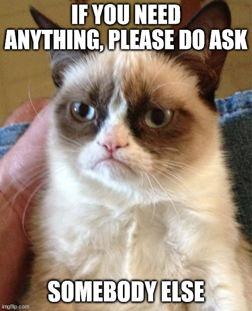 Title | IF YOU NEED ANYTHING, PLEASE DO ASK; SOMEBODY ELSE | image tagged in memes,grumpy cat | made w/ Imgflip meme maker