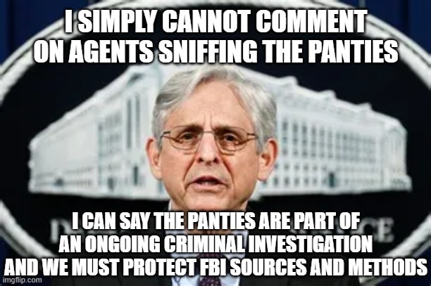 I SIMPLY CANNOT COMMENT ON AGENTS SNIFFING THE PANTIES; I CAN SAY THE PANTIES ARE PART OF AN ONGOING CRIMINAL INVESTIGATION AND WE MUST PROTECT FBI SOURCES AND METHODS | made w/ Imgflip meme maker