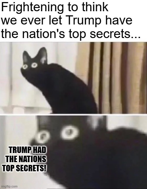 Donald Trump vs United States of America is the case. It's going down. | Frightening to think we ever let Trump have the nation's top secrets... TRUMP HAD THE NATIONS TOP SECRETS! | image tagged in oh no black cat,trump vs usa,fbi,doj,national security,classified | made w/ Imgflip meme maker
