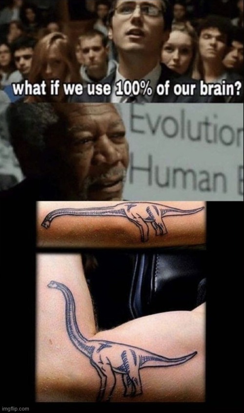 image tagged in what if we used 100 of the brain | made w/ Imgflip meme maker