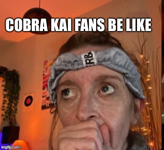 cobra Kai | COBRA KAI FANS BE LIKE | image tagged in cobra kai,lol so funny,lmao | made w/ Imgflip meme maker