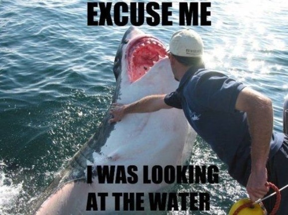 image tagged in shark | made w/ Imgflip meme maker