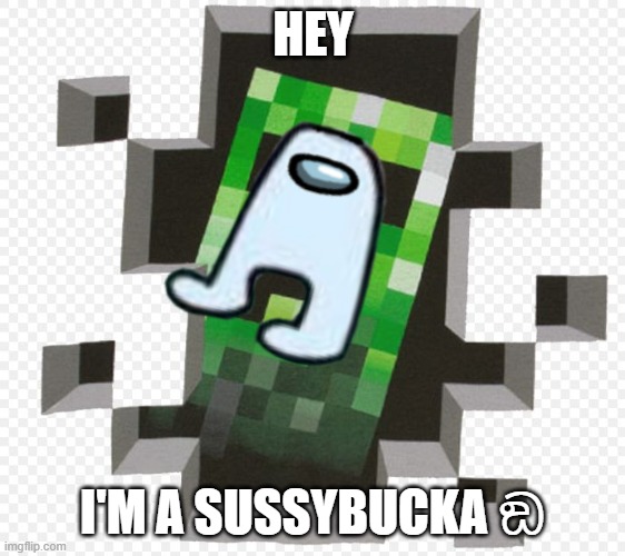 HEY; I'M A SUSSYBUCKA ඞ | image tagged in haha | made w/ Imgflip meme maker