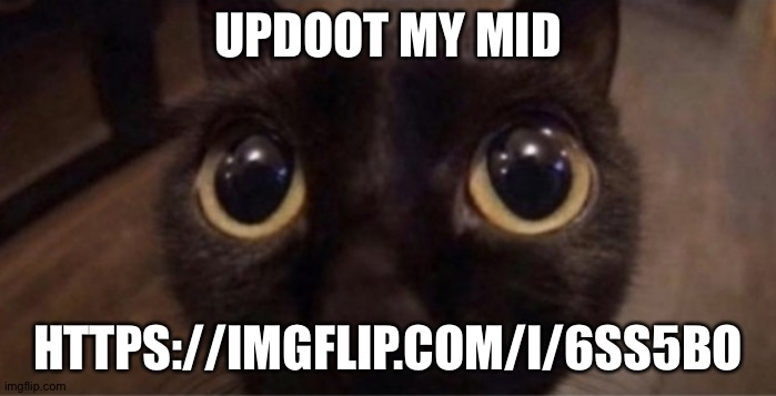 https://imgflip.com/i/6ss5bo | UPDOOT MY MID; HTTPS://IMGFLIP.COM/I/6SS5BO | image tagged in skrunkly | made w/ Imgflip meme maker