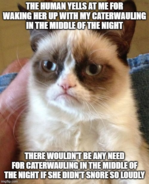 Deep Thoughts With Grumpy Cat 2 | THE HUMAN YELLS AT ME FOR WAKING HER UP WITH MY CATERWAULING IN THE MIDDLE OF THE NIGHT; THERE WOULDN'T BE ANY NEED FOR CATERWAULING IN THE MIDDLE OF THE NIGHT IF SHE DIDN'T SNORE SO LOUDLY | image tagged in memes,grumpy cat,deep thoughts,cats,pet humor,funny | made w/ Imgflip meme maker