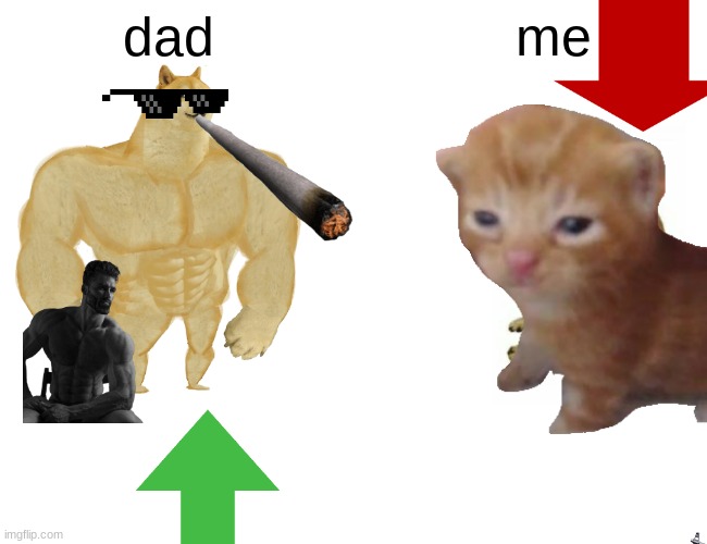 Buff Doge vs. Cheems | dad; me | image tagged in memes,buff doge vs cheems | made w/ Imgflip meme maker