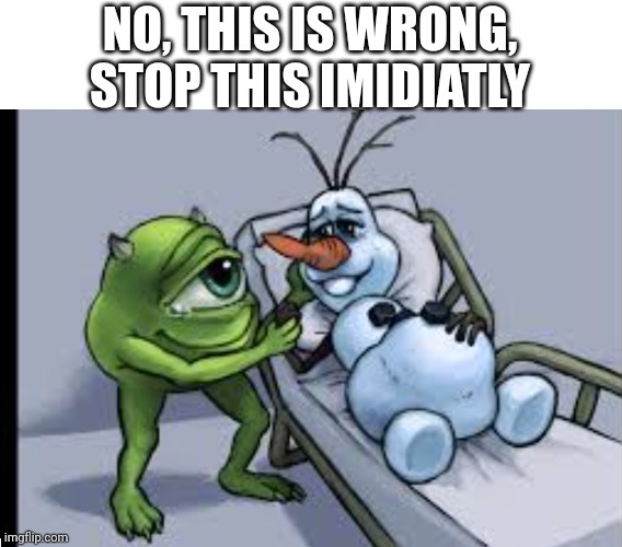 NO, THIS IS WRONG, STOP THIS IMIDIATLY | image tagged in cursed image,funny,memes | made w/ Imgflip meme maker