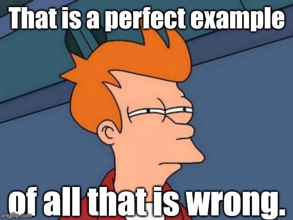 Fry is not sure... | That is a perfect example of all that is wrong. | image tagged in fry is not sure | made w/ Imgflip meme maker