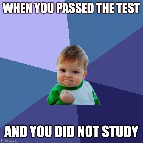 Me be like | WHEN YOU PASSED THE TEST; AND YOU DID NOT STUDY | image tagged in memes,success kid | made w/ Imgflip meme maker