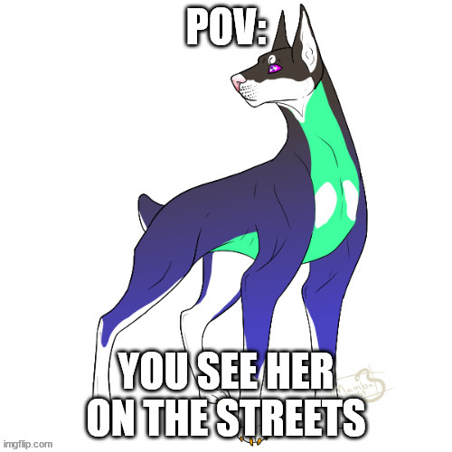 No joke rp and NO ERP YOU ZOOPHILE! | POV:; YOU SEE HER ON THE STREETS | image tagged in doggo,magic,doberman | made w/ Imgflip meme maker
