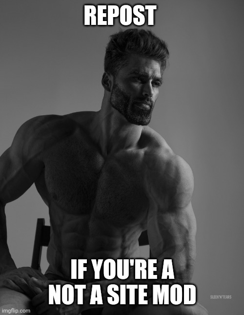 Giga Chad | REPOST IF YOU'RE A NOT A SITE MOD | image tagged in giga chad | made w/ Imgflip meme maker