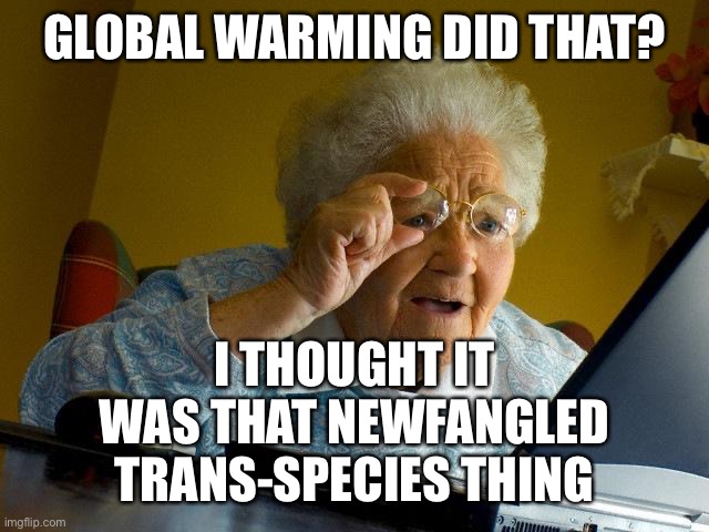 Grandma Finds The Internet Meme | GLOBAL WARMING DID THAT? I THOUGHT IT WAS THAT NEWFANGLED TRANS-SPECIES THING | image tagged in memes,grandma finds the internet | made w/ Imgflip meme maker