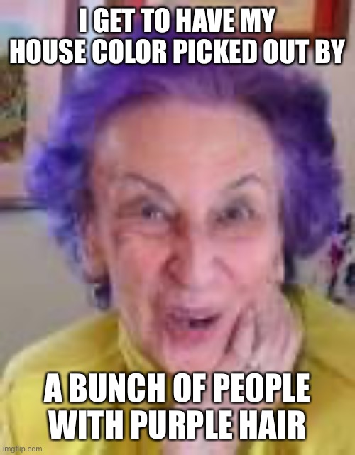 Purple Hair Old Lady | I GET TO HAVE MY HOUSE COLOR PICKED OUT BY A BUNCH OF PEOPLE WITH PURPLE HAIR | image tagged in purple hair old lady | made w/ Imgflip meme maker