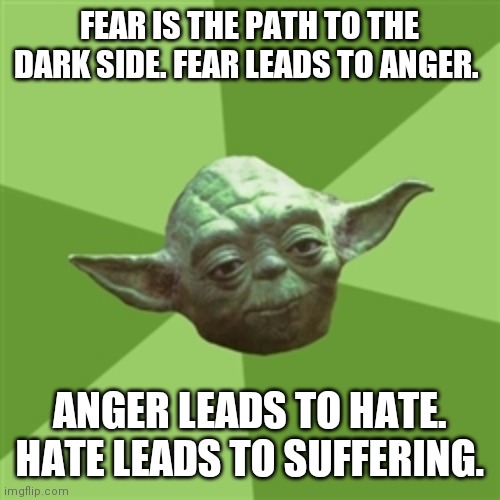 Advice Yoda Meme | FEAR IS THE PATH TO THE DARK SIDE. FEAR LEADS TO ANGER. ANGER LEADS TO HATE. HATE LEADS TO SUFFERING. | image tagged in memes,advice yoda | made w/ Imgflip meme maker
