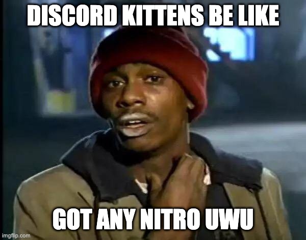 Average discord Kitten | DISCORD KITTENS BE LIKE; GOT ANY NITRO UWU | image tagged in memes,y'all got any more of that,discord,kitten | made w/ Imgflip meme maker