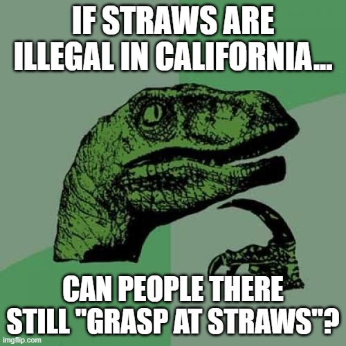 Strawman | IF STRAWS ARE ILLEGAL IN CALIFORNIA... CAN PEOPLE THERE STILL "GRASP AT STRAWS"? | image tagged in memes,philosoraptor,california,plastic straws,deep thoughts,idiocy | made w/ Imgflip meme maker