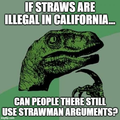 Strawman 2 | IF STRAWS ARE ILLEGAL IN CALIFORNIA... CAN PEOPLE THERE STILL USE STRAWMAN ARGUMENTS? | image tagged in memes,philosoraptor,deep thoughts,plastic straws,idiocy,california | made w/ Imgflip meme maker
