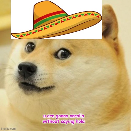 Doge |  u are gonna scrolla without saying hola | image tagged in memes,doge | made w/ Imgflip meme maker