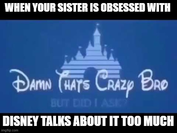 Damn that's crazy bro but did I ask? |  WHEN YOUR SISTER IS OBSESSED WITH; DISNEY TALKS ABOUT IT TOO MUCH | image tagged in damn that's crazy bro but did i ask | made w/ Imgflip meme maker