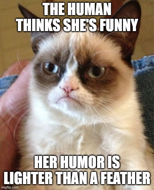 Deep Thoughts With Grumpy Cat 3 | THE HUMAN THINKS SHE'S FUNNY; HER HUMOR IS LIGHTER THAN A FEATHER | image tagged in memes,grumpy cat,deep thoughts,unfunny,cats,humor | made w/ Imgflip meme maker