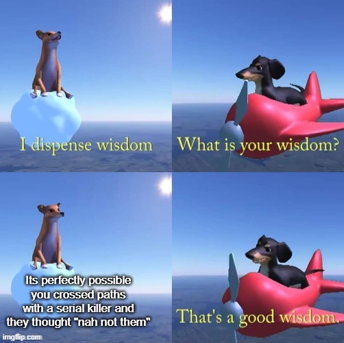 Wisdom dog | Its perfectly possible you crossed paths with a serial killer and they thought "nah not them" | image tagged in wisdom dog | made w/ Imgflip meme maker