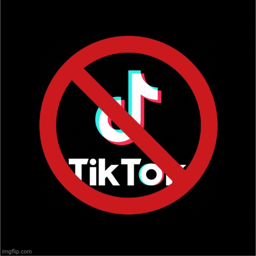 Wave this Antitiktok flag high and proud! | image tagged in anti,tiktok,flag | made w/ Imgflip meme maker