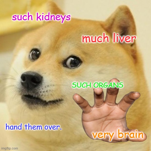 Doge is after your organs | such kidneys; much liver; SUCH ORGANS; hand them over. very brain | image tagged in memes,doge | made w/ Imgflip meme maker