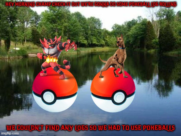 pokeball log rolling | HEY MORNING CHAMP CHECK IT OUT WE'RE GONNA DO SOME POKEBALL LOG ROLLING; WE COULDN'T FIND ANY LOGS SO WE HAD TO USE POKEBALLS | image tagged in on a lake,cats,dogs,sports,friends,buddies | made w/ Imgflip meme maker