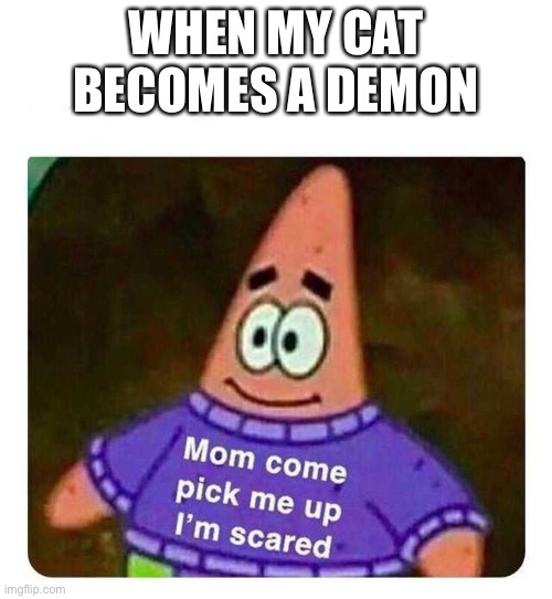 Patrick Mom come pick me up I'm scared | WHEN MY CAT BECOMES A DEMON | image tagged in patrick mom come pick me up i'm scared | made w/ Imgflip meme maker