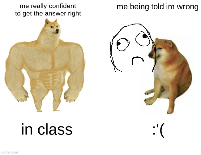 Buff Doge vs. Cheems | me really confident to get the answer right; me being told im wrong; in class; :'( | image tagged in memes,buff doge vs cheems | made w/ Imgflip meme maker