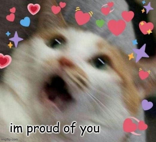 wholesome cat | im proud of you | image tagged in wholesome cat | made w/ Imgflip meme maker