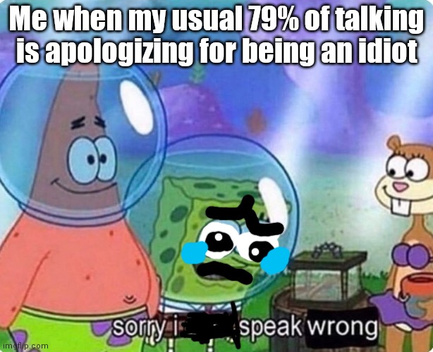 I end up doing this on a daily basis | Me when my usual 79% of talking is apologizing for being an idiot | image tagged in sorry i don't speak wrong | made w/ Imgflip meme maker