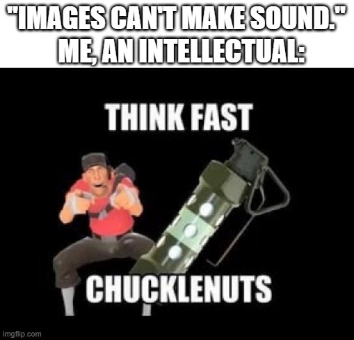 MY EARS!!! |  "IMAGES CAN'T MAKE SOUND."; ME, AN INTELLECTUAL: | image tagged in think fast chucklenuts,tf2,team fortress 2,tf2 scout,memes,gaming | made w/ Imgflip meme maker