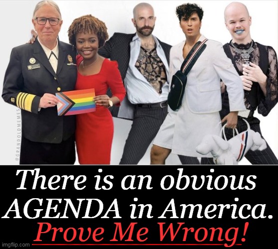 Acceptance is One Thing but "In-Your-Face Agenda" is Another . . . | There is an obvious 
AGENDA in America. Prove Me Wrong! | image tagged in political meme,liberals vs conservatives,agenda,leftist,in your face,nwo | made w/ Imgflip meme maker