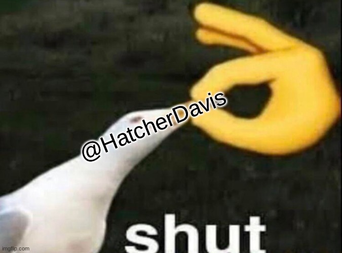 SHUT | @HatcherDavis | image tagged in shut | made w/ Imgflip meme maker