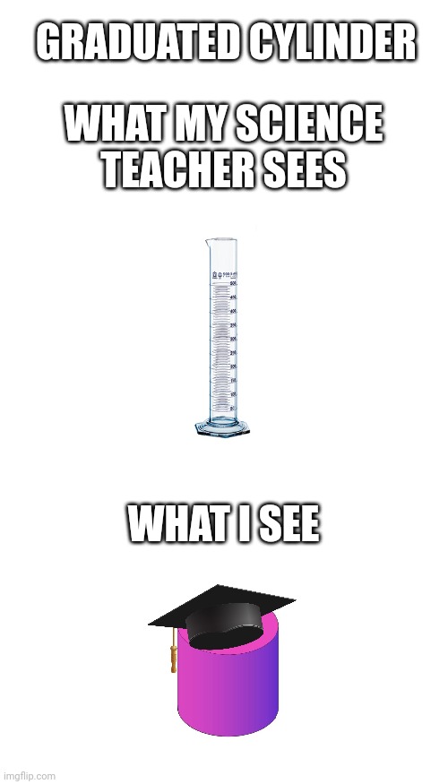 This is literally what I think of every time my science teacher says graduated cylinder | GRADUATED CYLINDER; WHAT MY SCIENCE TEACHER SEES; WHAT I SEE | image tagged in memes,blank transparent square,science | made w/ Imgflip meme maker