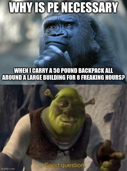 I'm back, baby! |  WHY IS PE NECESSARY; WHEN I CARRY A 50 POUND BACKPACK ALL AROUND A LARGE BUILDING FOR 8 FREAKING HOURS? | image tagged in deep thoughts,shrek good question,memes,gym,school | made w/ Imgflip meme maker