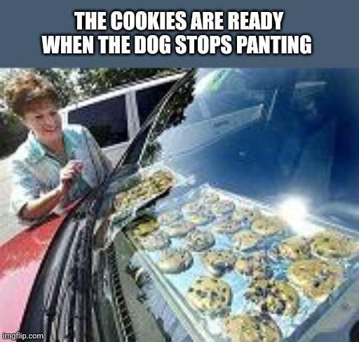 THE COOKIES ARE READY WHEN THE DOG STOPS PANTING | image tagged in funny memes | made w/ Imgflip meme maker