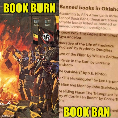 What’s the difference? | BOOK BURN; BOOK BAN | image tagged in nazi,joe biden | made w/ Imgflip meme maker