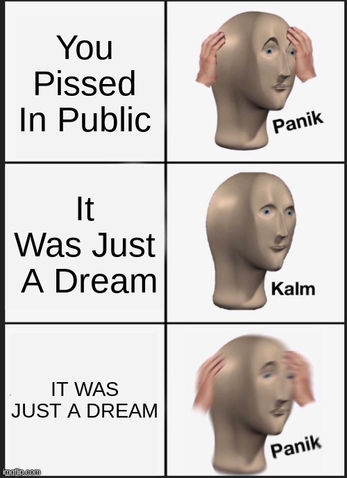 Merde | You Pissed In Public; It Was Just  A Dream; IT WAS JUST A DREAM | image tagged in memes,panik kalm panik | made w/ Imgflip meme maker