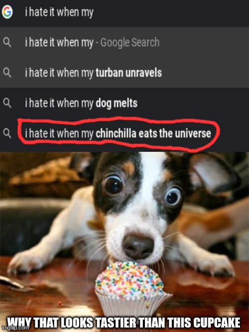 Excuse me what | WHY THAT LOOKS TASTIER THAN THIS CUPCAKE | image tagged in white background,dog eating cake,excuse me what the heck | made w/ Imgflip meme maker