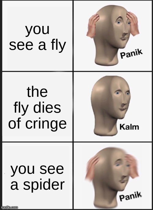 Panik Kalm Panik Meme | you see a fly; the fly dies of cringe; you see a spider | image tagged in memes,panik kalm panik | made w/ Imgflip meme maker